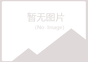 鹤岗兴山冬灵服务有限公司